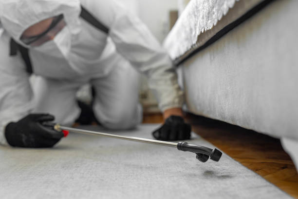 Professional Bed Bug Control technician working in Orlinda, TN
