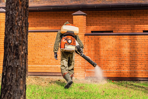 Trusted Cockroach Control service in Orlinda, TN - Nex Pest Control